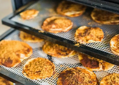 déshydrateur alimentaire